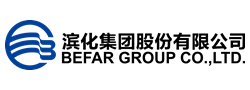 濱化集團股份有限公司